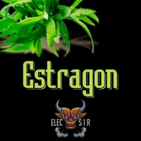 ElecSir Flavors - Estragon - 10ml