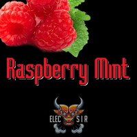 ElecSir Flavors - Raspberry Mint - 10ml