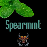 ElecSir Flavors - Spearmint - 10ml