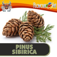 FlavourArt - Pinus Sibirica - 10ml