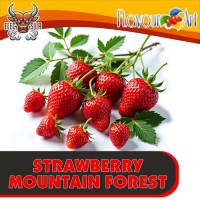 FlavourArt - Strawberry Mountain Forest - 10ml