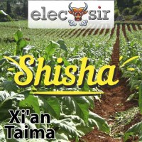 Xi'an Taima - Shisha - 10ml