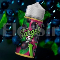Target - Get Mint - 100ml